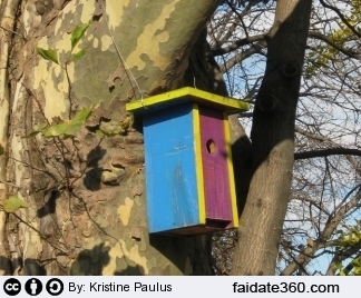 Costruire casetta per gli uccellini