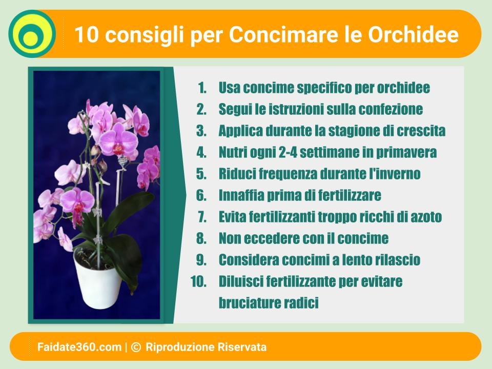 Concimazione delle Orchidee: Guida Completa e Tutorial Pratico