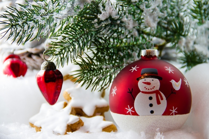 Albero Di Natale Origini.Albero Di Natale Vero Cura E Coltivazione Dell Abete In Vaso